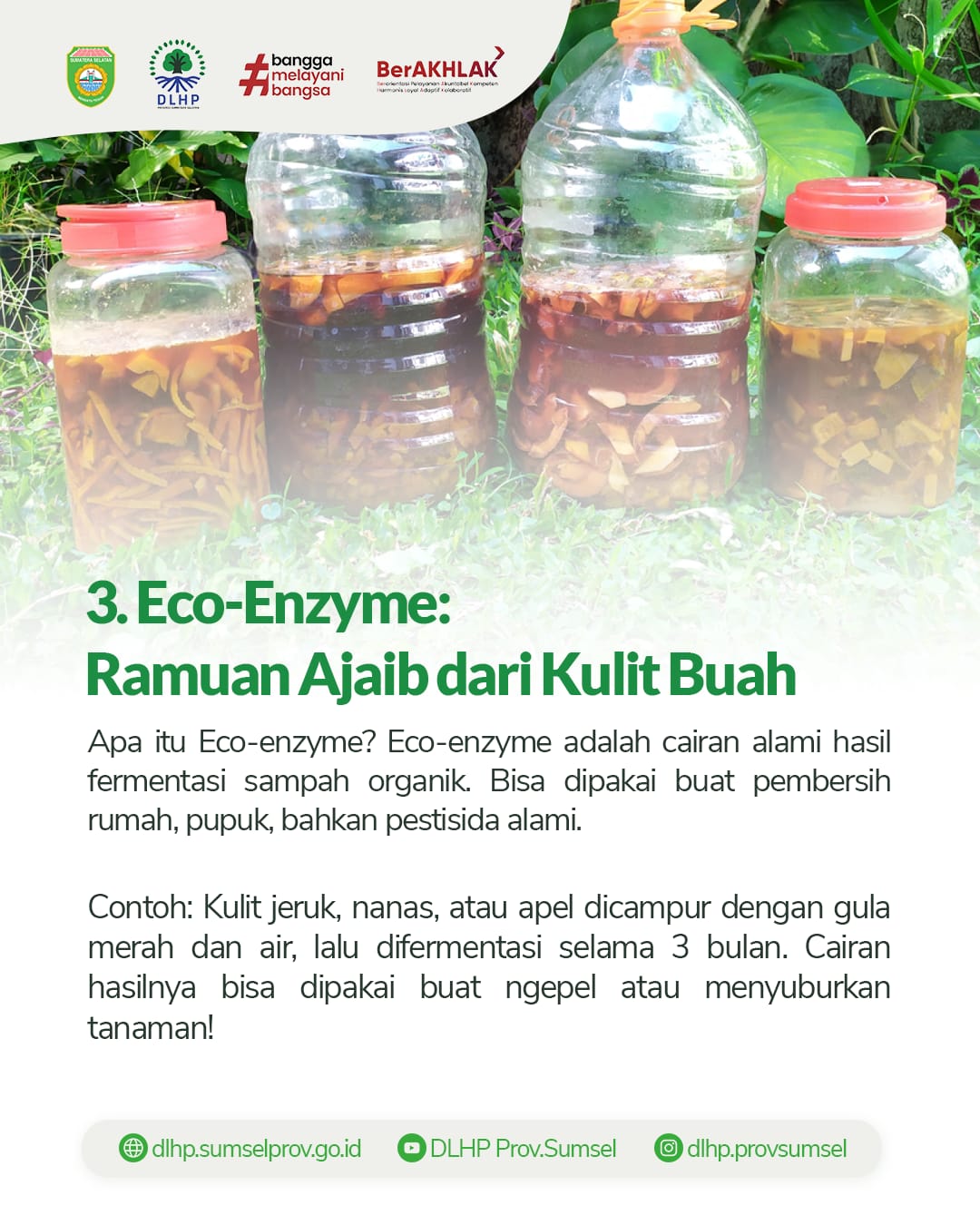 ECHO ENZIM