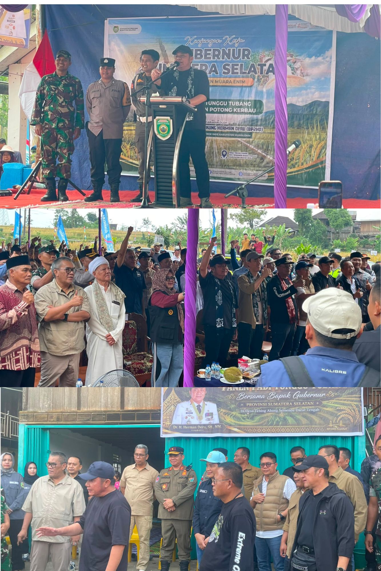 Kepala Dinas Lingkungan Hidup dan Pertanahan Prov. Sumsel  Mendampingi Gubernur Sumatera Selatan Panen Padi Tunggu Tubang di Desa Tebing Abang Kecamatan Semende Darat Tengah Kab. Muara Enim